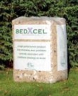 bedxcel bedxcel