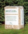 bedxcel