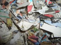 newspaperreview